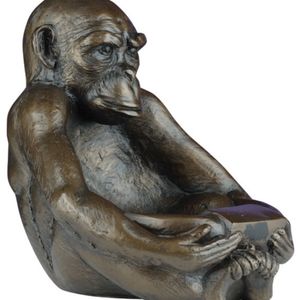 Bronze sitting monkey